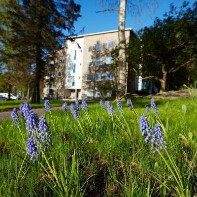 CJU_Poutapolku_3_5D32349_Photo_PasiSalminen_com (1).jpg CJU_Poutapolku_3_5D32349_Photo_PasiSalminen_com (1).jpg